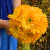 Yellow Gerbera Daisy Bouquet
