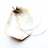 Seashell Shell Ring Bearer Bowl Dish Wedding Ring Holder Pillow Alternative Beach Theme Wedding Oyster Clam Vintage