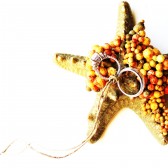 Starfish Ring Bearer Ring Pillow Wedding Ring Holder Beach Destination Wedding Alternative Dish Bowl Plate
