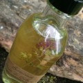 botanical body oil