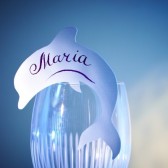 Dolphin Theme, Place Cards