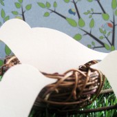 Bird place card 