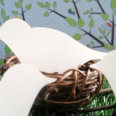 Bird place card 