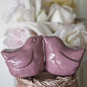 Pink Love Birds