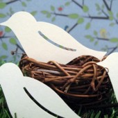 Bird Escort Card