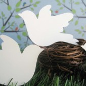 Dove escort cards