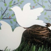 Dove escort cards
