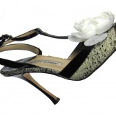 shoe clips