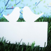 Love Bird Place Cards