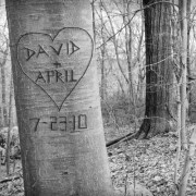 Love Tree Personalized Photograph