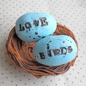 Bird Nest