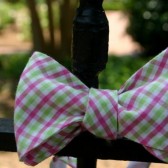 Maybank Bow Tie