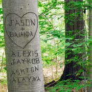 Summer Love Tree Personalized Photograph