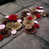 Pinwheel Cluster