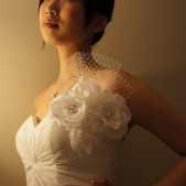 White flower blossom
