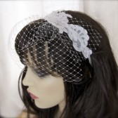 Bridcage Veil with Alencon Lace Headband