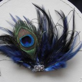 Blue Peacock