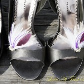 Butterfly wings
