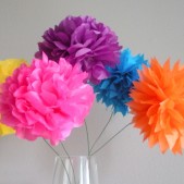 pom pom flowers