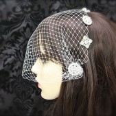 Birdcage Veil with Vintage Rhinestone Pins 