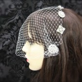 Birdcage Veil with Vintage Rhinestone Pins 