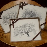 Oak Notes