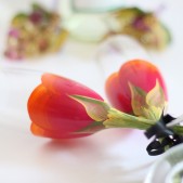 Orange painted stemware