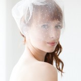 Polka Dot Blusher Veil