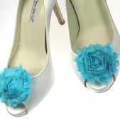 blue magnetic shoe clips
