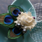Peacock Feather and Crystal Hair Clip