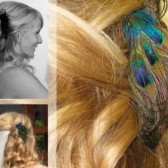 Peacock Feather Hair Clip