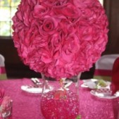 Fushia Pomander Centerpiece Rental