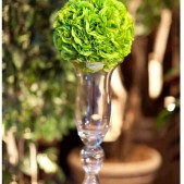 Centerpiece Pomanders