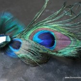 Peacock Feather and Crystal Hair Clip