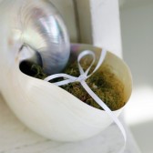 Shell Ring Bearer Pillow Alternative