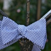 Navy Checked Bow Tie