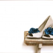 peacock shoe clips