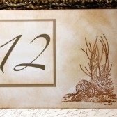 Vintage Inspired Beach Theme Table Number