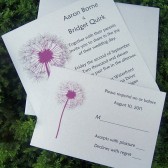 Dandoline Invitation Set