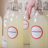 Lemonade Favors