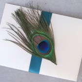 Peacock Pocketfold Invitation Set