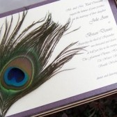 Spectaular Peacock Invitation Set