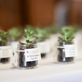 Succulent Favors