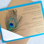Wrapped Peacock Invitation Set