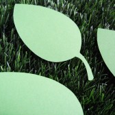 Wishing Tree Leaves 