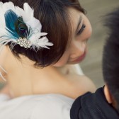 Shadow of Blue Peacock