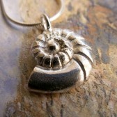 Nautilus Shell Necklace
