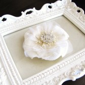 Champagne velvet fascinator