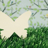 Butterfly place card