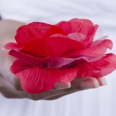 Red Silk Rose Crystal Hair Clip